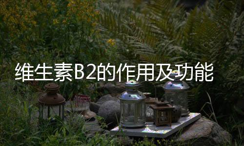 维生素B2的作用及功能