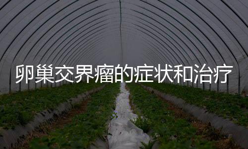 卵巢交界瘤的症状和治疗