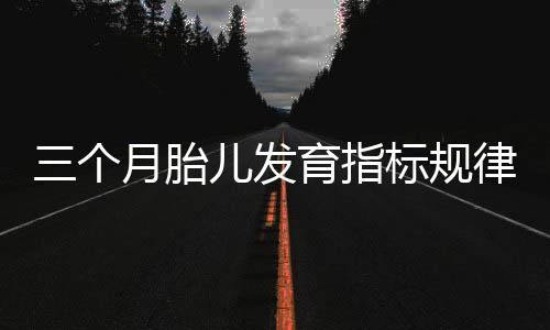 三个月胎儿发育指标规律