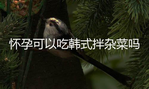 怀孕可以吃韩式拌杂菜吗？怀孕吃什么比较好