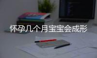 怀孕几个月宝宝会成形