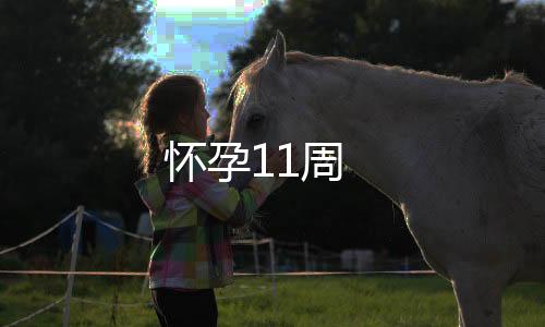 怀孕11周