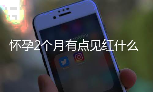 怀孕2个月有点见红什么原因