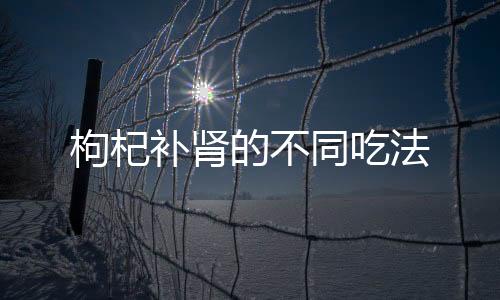 枸杞补肾的不同吃法