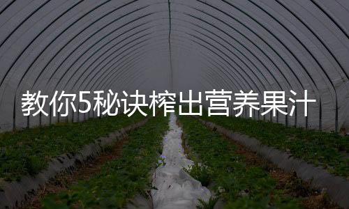 教你5秘诀榨出营养果汁