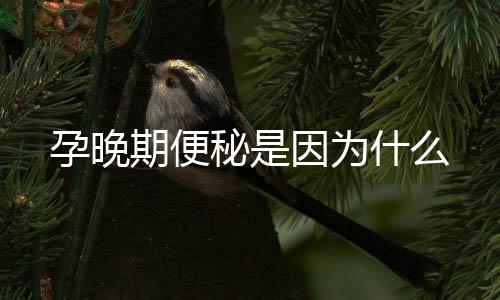 孕晚期便秘是因为什么