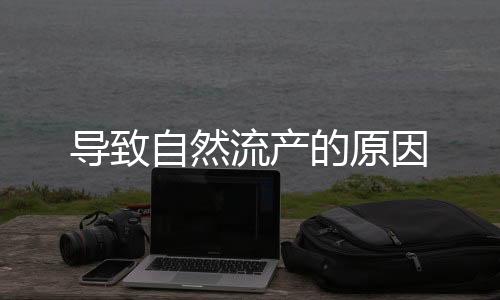 导致自然流产的原因