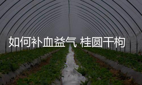 如何补血益气 桂圆干枸杞和红枣的功效