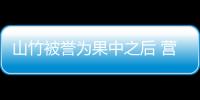 山竹被誉为果中之后 营养丰富抗氧化作用超强