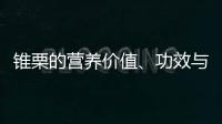 锥栗的营养价值、功效与作用、食用禁忌