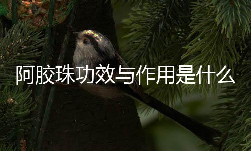 阿胶珠功效与作用是什么