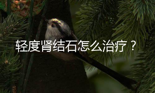 轻度肾结石怎么治疗？