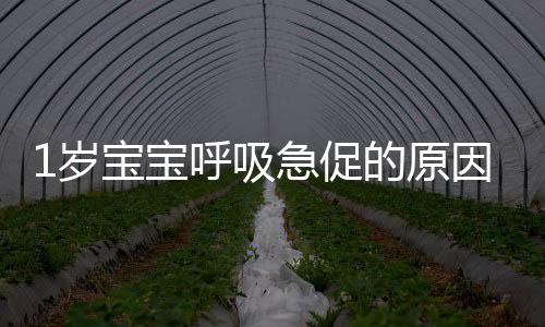 1岁宝宝呼吸急促的原因